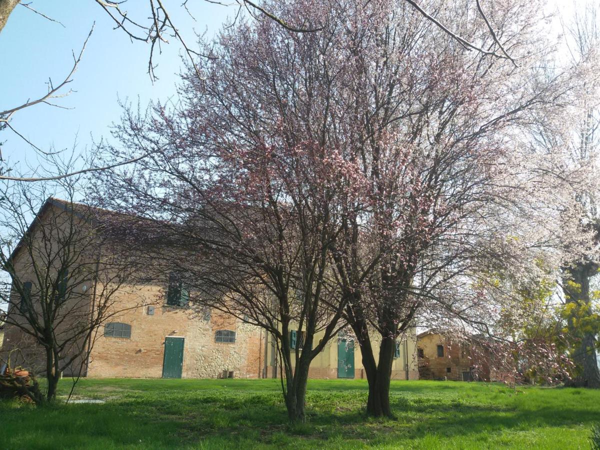Bed and Breakfast Il Boschetto Di Morgana Castel San Pietro Terme Zewnętrze zdjęcie