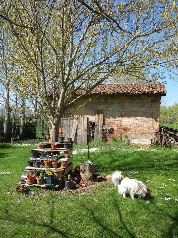 Bed and Breakfast Il Boschetto Di Morgana Castel San Pietro Terme Zewnętrze zdjęcie