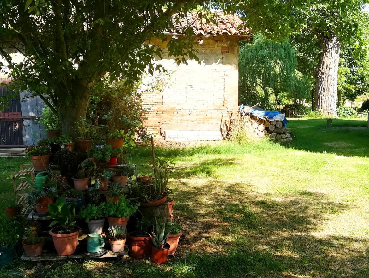 Bed and Breakfast Il Boschetto Di Morgana Castel San Pietro Terme Zewnętrze zdjęcie